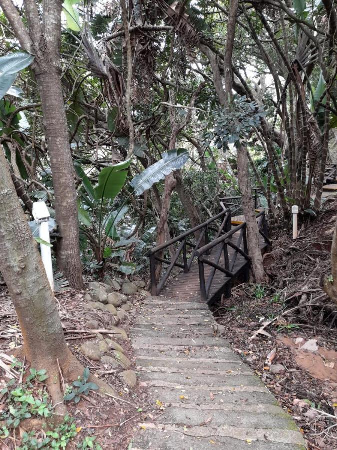 爱德华港19 Montego Bay Caribbean Estate公寓 外观 照片