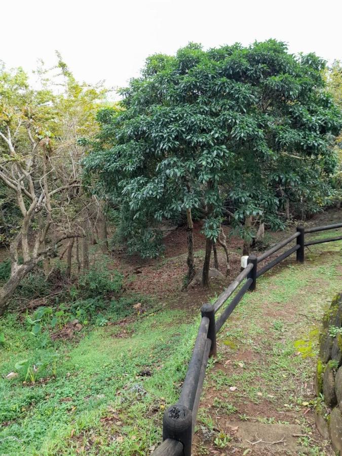爱德华港19 Montego Bay Caribbean Estate公寓 外观 照片