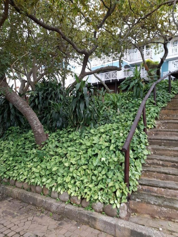 爱德华港19 Montego Bay Caribbean Estate公寓 外观 照片